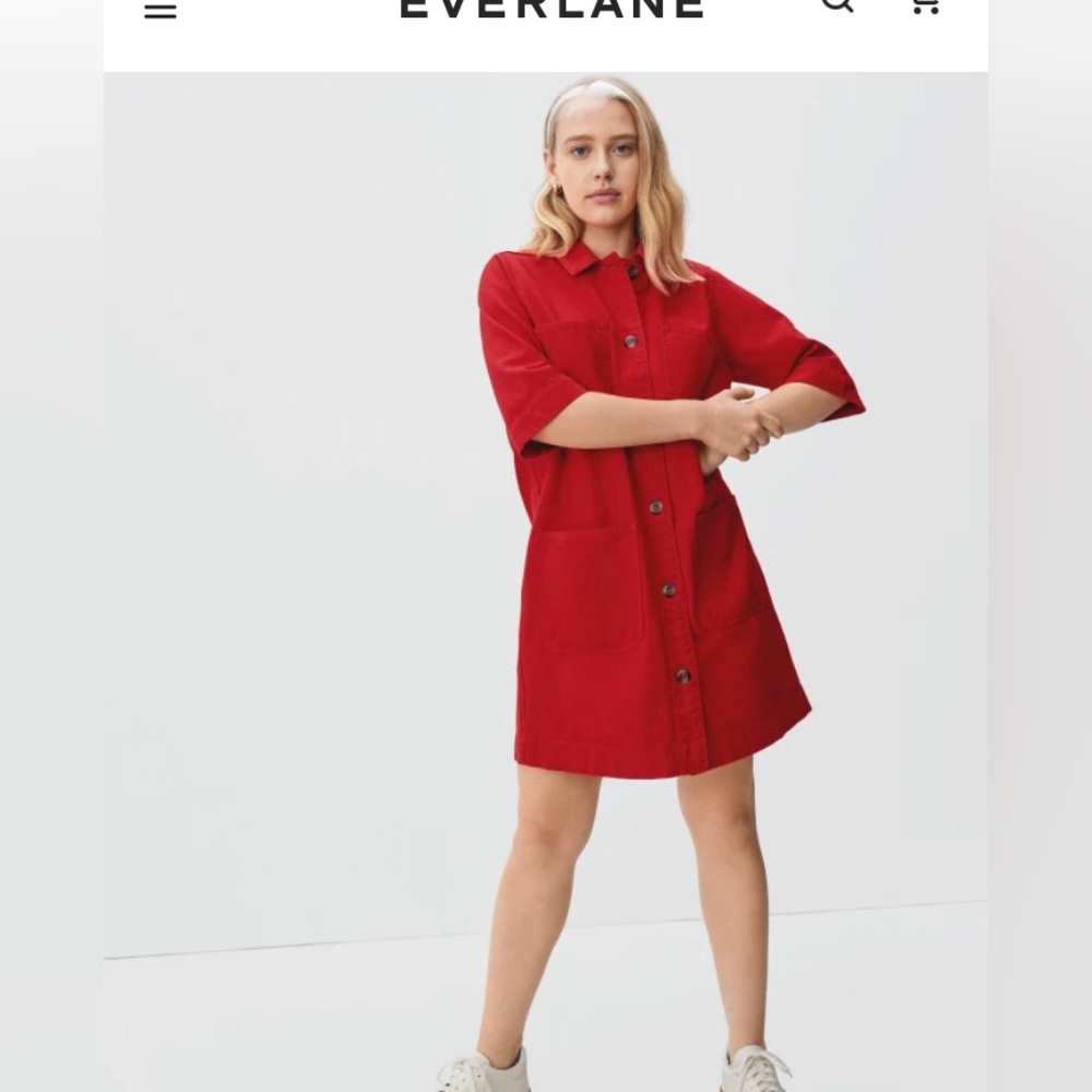 Everlane Chore Dress